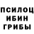 Псилоцибиновые грибы GOLDEN TEACHER violent doll